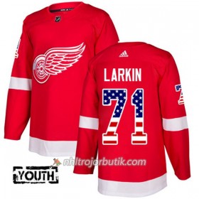 Barn Ishockey Detroit Red Wings Tröja Dylan Larkin 71 Adidas 2017-2018 Röd USA Flag Fashion Authentic